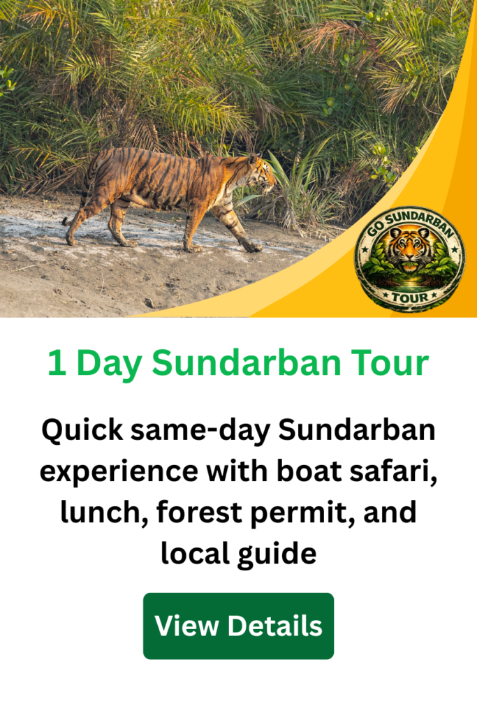 1 Day Sundarban Tour photo 1
