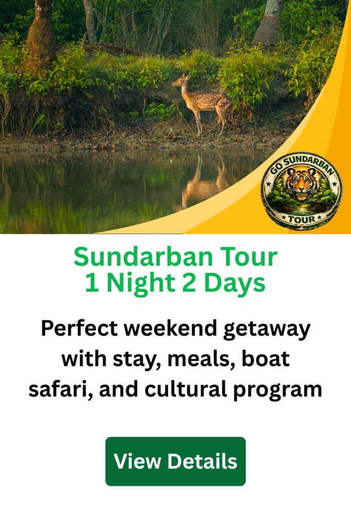 1 Day Sundarban Tour photo 2
