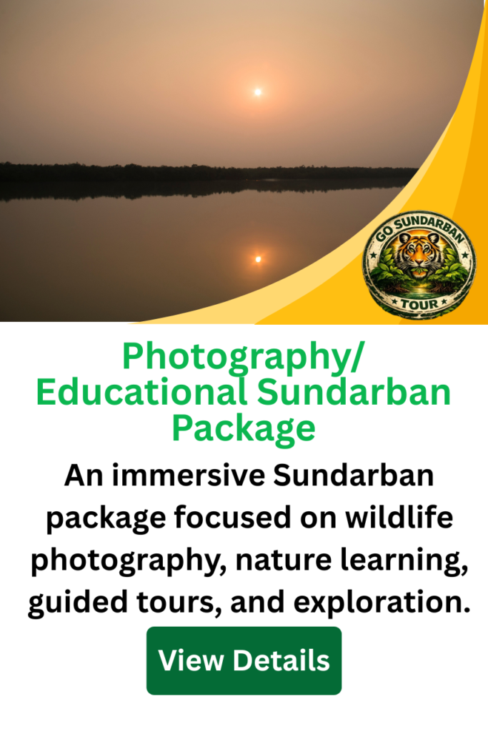 Photography & Educational Sundarban Tour photo 1