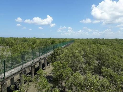 Dobanki Canopy Walk aerial view — 500m elevated walkway through Sundarbans mangroves